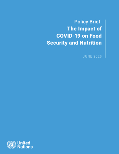 Cover shows the title "Policy Brief: The Impact of COVID-19 on Food Security and Nutrition" against a solid blue background with the UN emblem on the lower left side.