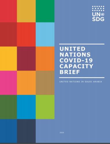 Cover of publication shows colorful blocks with United Nations COVID-19 Capacity Brief 