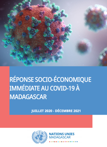 Cover shows the title "United Nations Framework for an Immediate Socio-Economic Response to COVID-19 in Madagascar" over blue background and virus image.