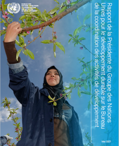 Une jeune femme tend le bras vers une branche d'arbre. Le logo du Bureau de la coordination des activités de développement apparaît en haut à gauche de la couverture et le titre du rapport de la Présidente du GNUDD est affiché verticalement sur le bord droit de la couverture.