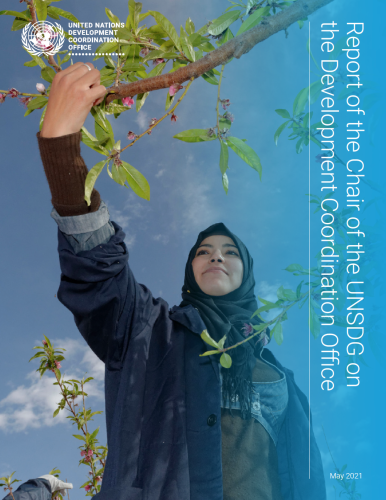The cover shows an image of a young woman reaching for a tree branch with the UN emblem to the top left of the cover and title displayed vertically across the right edge of the cover.