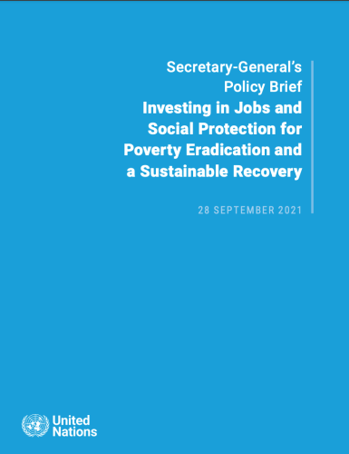 El "Informe de política" tiene una cubierta azul sólida con el título en blanco en la parte superior derecha y el emblema de la ONU en la parte inferior izquierda.