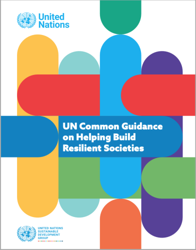 Cover has a white background with the SDG colours presented as elongated and curved oval shapes stretching across the entire cover, with the title positioned centered in front of one of the shapes.