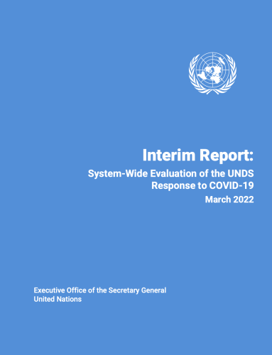 Report cover in UN blue with white UN emblem. 