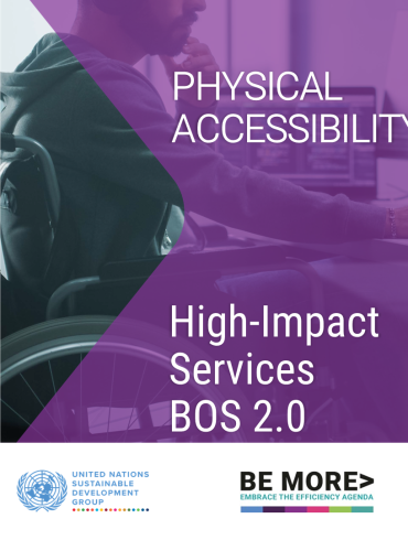 Person using a wheelchair and a computer with the title of Physical Accessibility, High-Impact Services and logo of UNSDG and Be More Efficiency Agenda