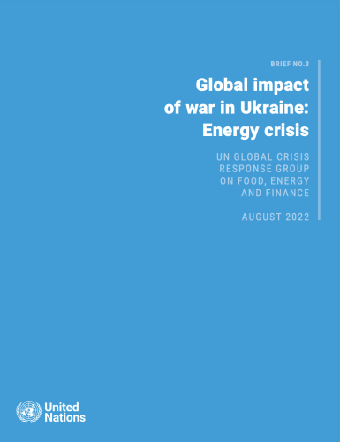 A publication cover in blue with the title in the top right corner and the UN logo in the bottom left corner.  