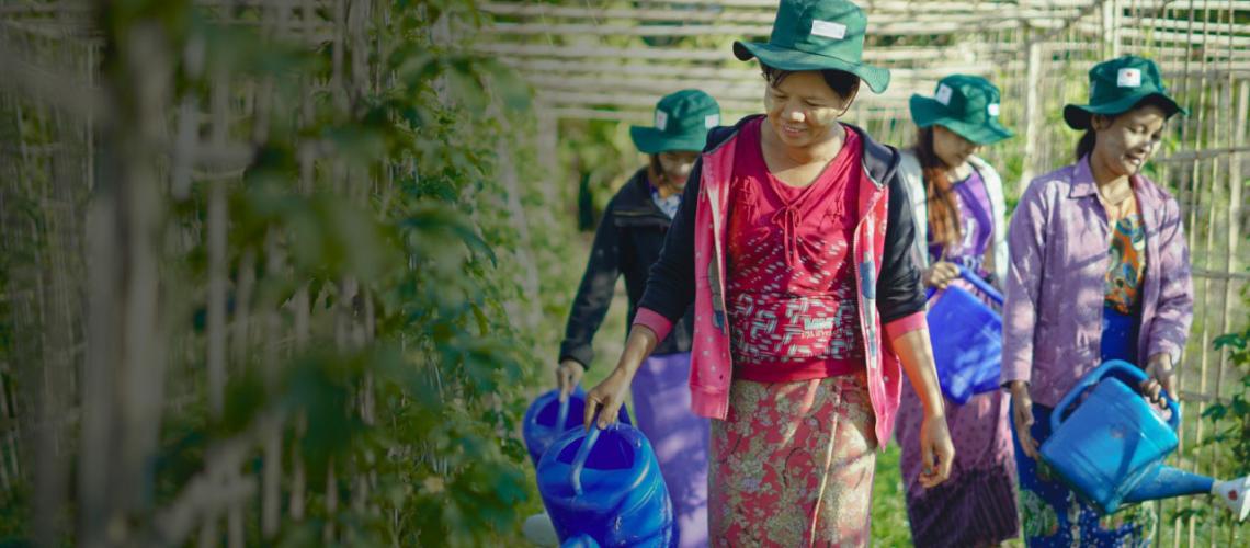 Myanmar banner depicts four women walking through lush crops smiling as they water the crops. 