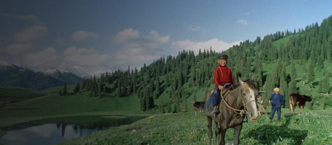 Kazakhstan banner shows a boy riding a horse in Karkara pastures.