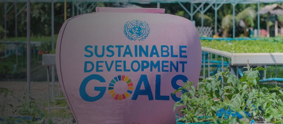 صورة مقربة لأصيص كبير مطلي باللون الزرهي ومكتوب عليه عبارة "أهداف التنمية المستدامة" وسط النباتات.