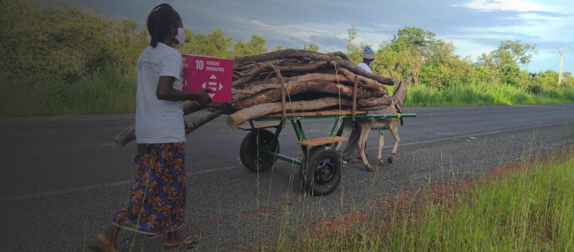A farmer and his wife, which carries an SDG 10 box, walk down a road with a mule pulling a cart.