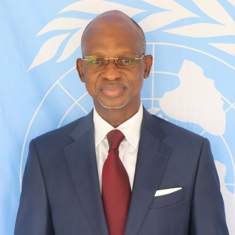 The official portrait of the resident coordinator in a blue suit and red tie. 